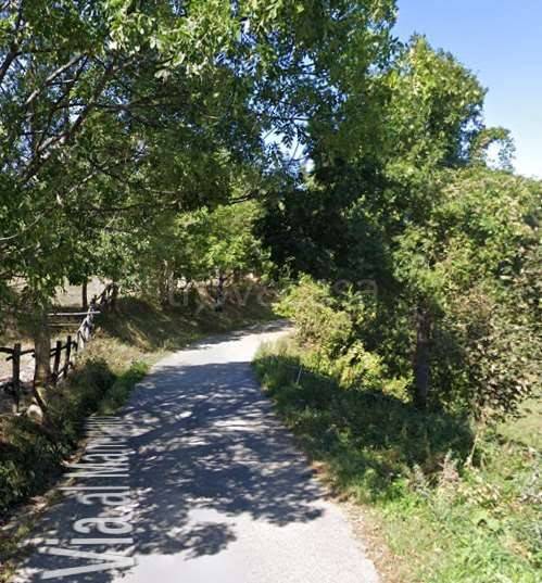 immagine annuncio 10 di 13