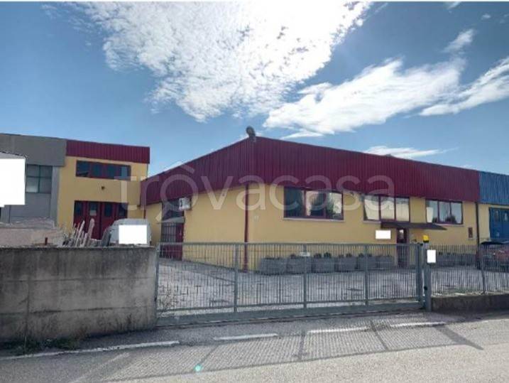 immagine annuncio 1 di 12