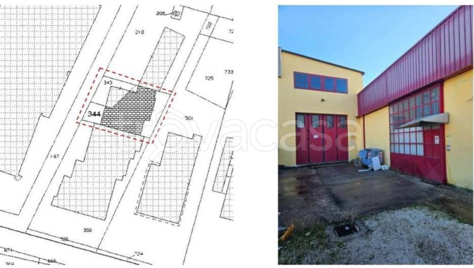 immagine annuncio 2 di 12