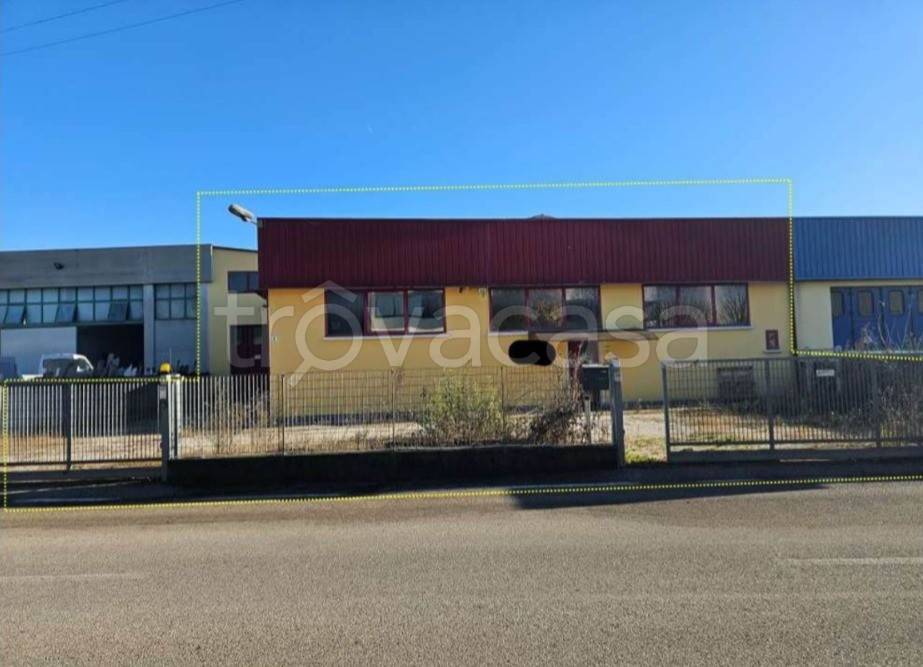 immagine annuncio 3 di 12