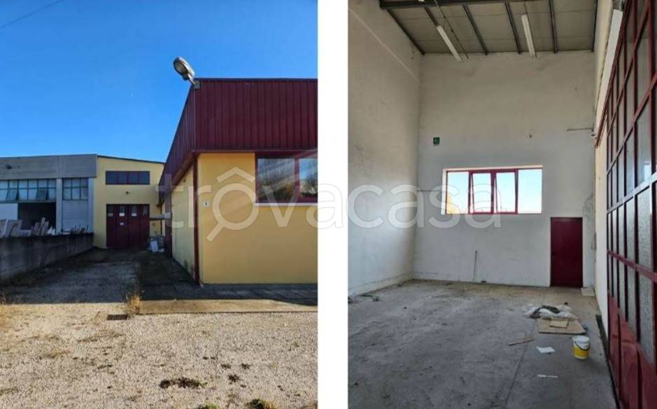 immagine annuncio 4 di 12