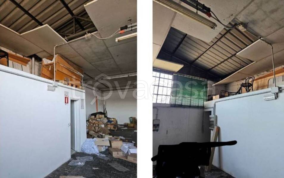 immagine annuncio 7 di 12