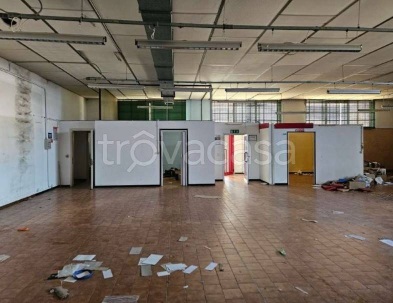 immagine annuncio 9 di 12