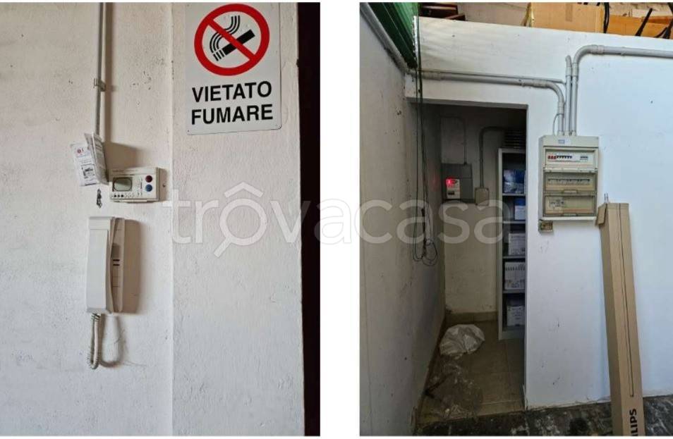 immagine annuncio 10 di 12