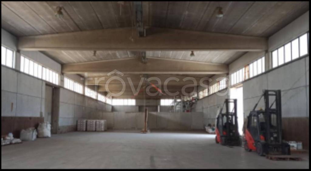 immagine annuncio 3 di 12