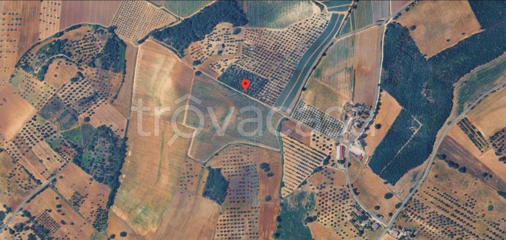 immagine annuncio 9 di 11