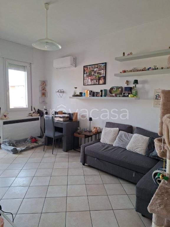 immagine annuncio 3 di 12