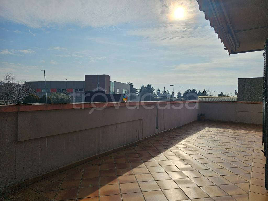 immagine annuncio 11 di 15