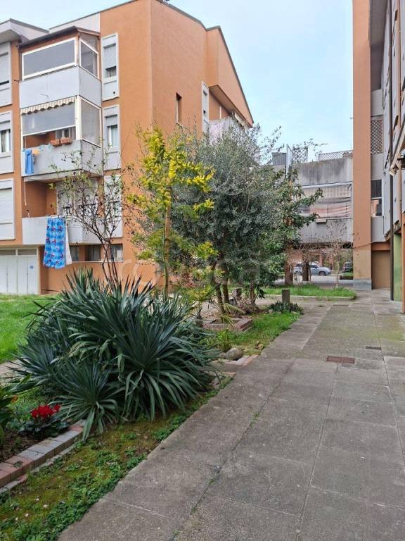 immagine annuncio 11 di 12