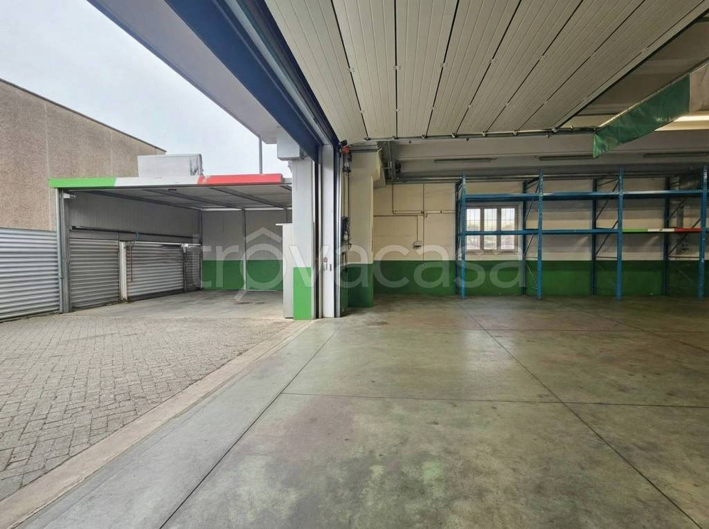 immagine annuncio 8 di 15