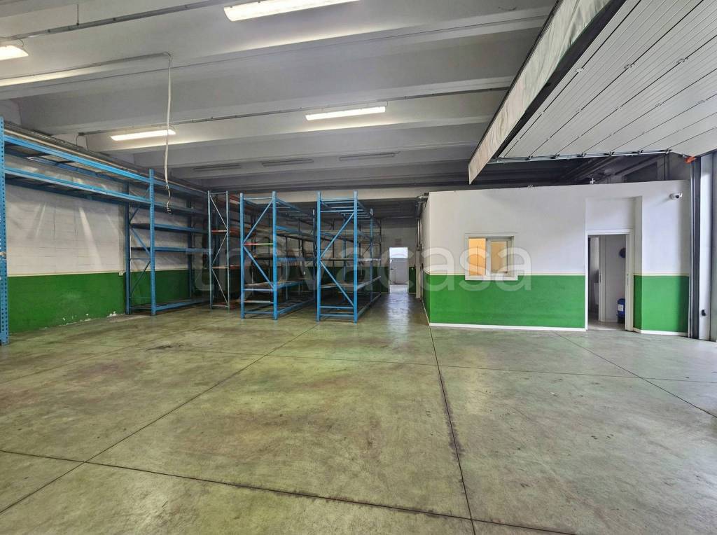 immagine annuncio 11 di 15