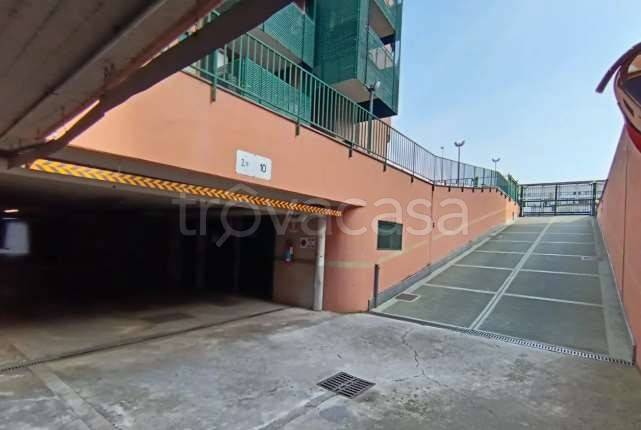 immagine annuncio 2 di 12