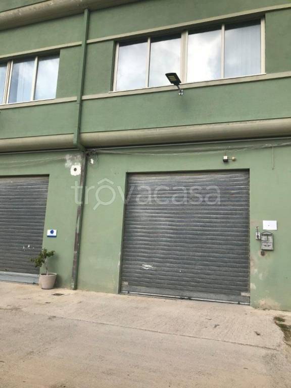 immagine annuncio 12 di 13