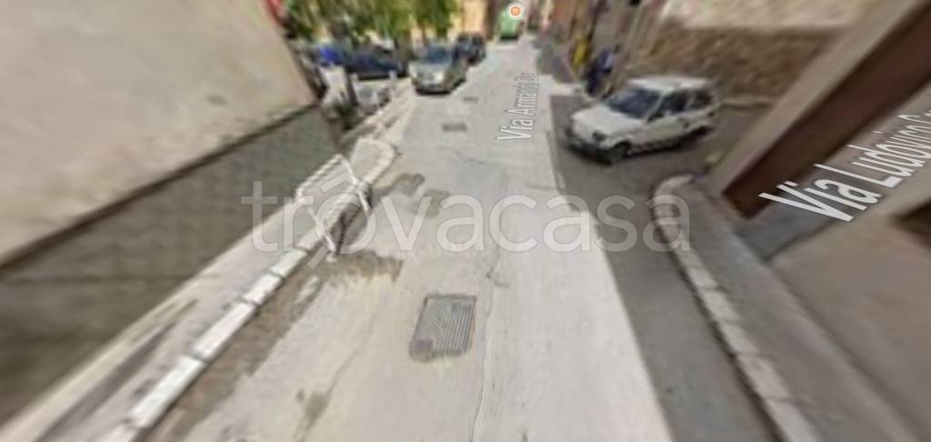 immagine annuncio 11 di 14