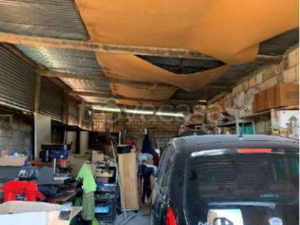 immagine annuncio 11 di 13