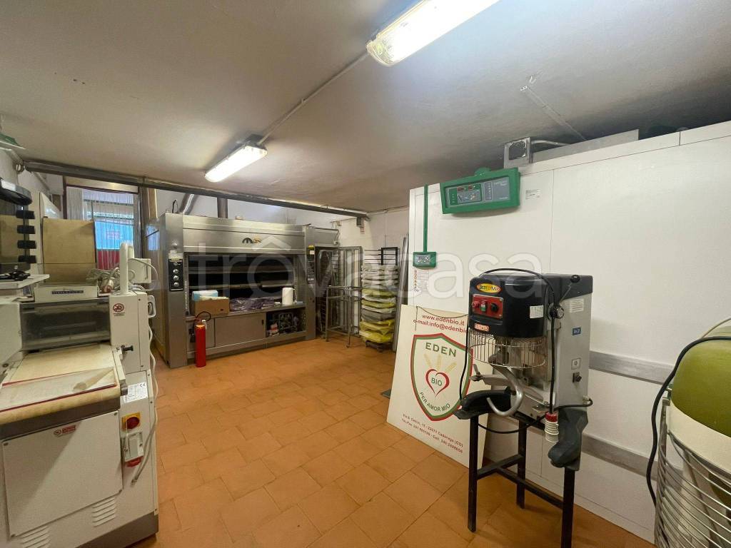 immagine annuncio 11 di 15