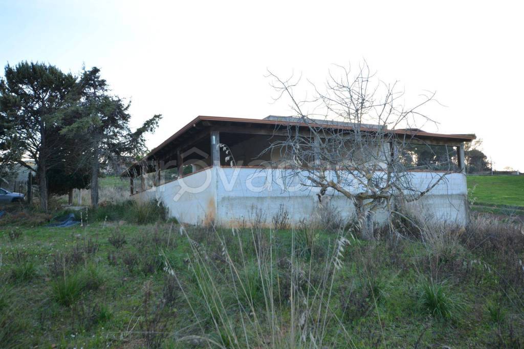 immagine annuncio 10 di 12