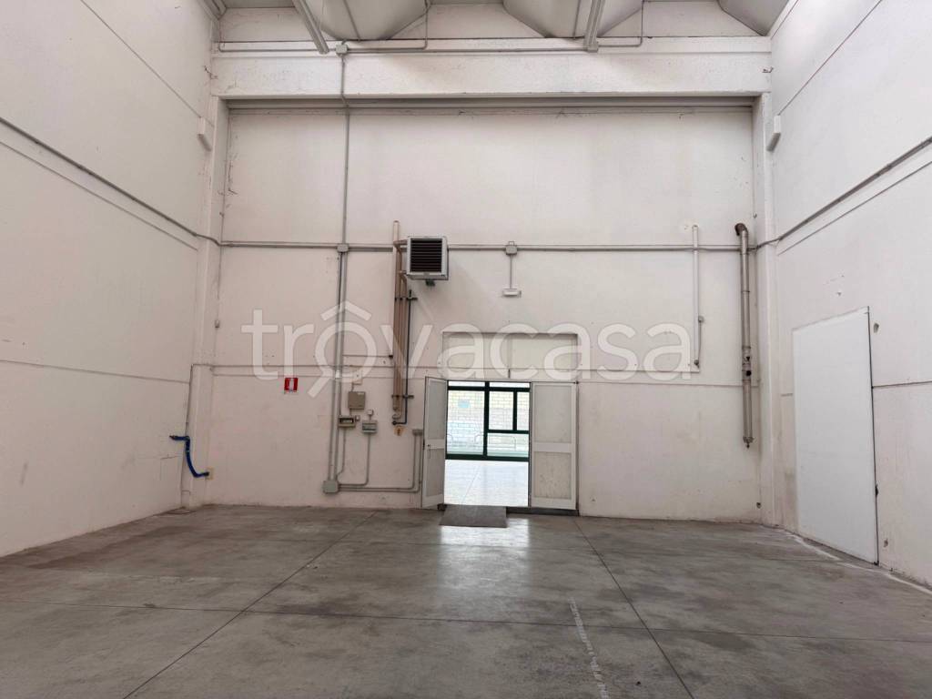 immagine annuncio 6 di 13