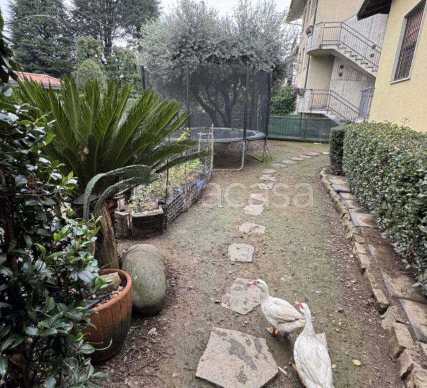 immagine annuncio 1 di 13