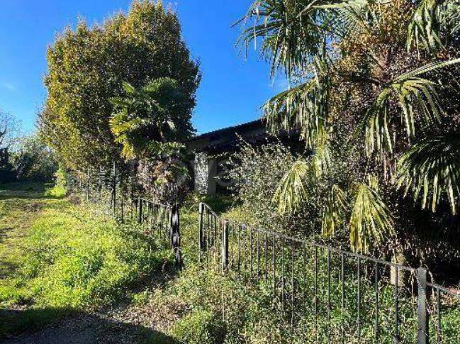 immagine annuncio 1 di 14