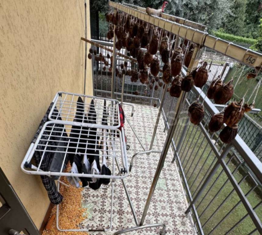 immagine annuncio 6 di 13