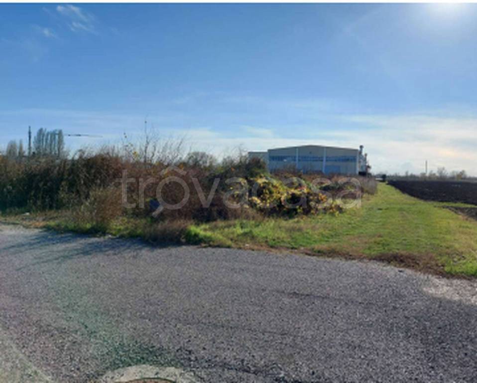 immagine annuncio 4 di 11