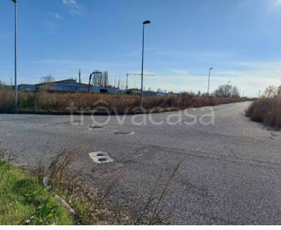 immagine annuncio 5 di 11