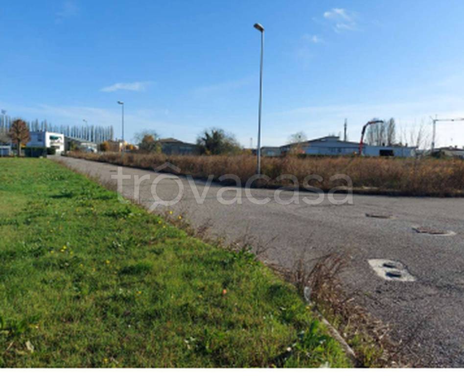 immagine annuncio 6 di 11