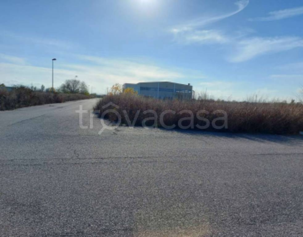 immagine annuncio 8 di 11