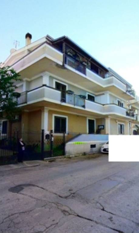 immagine annuncio 1 di 12