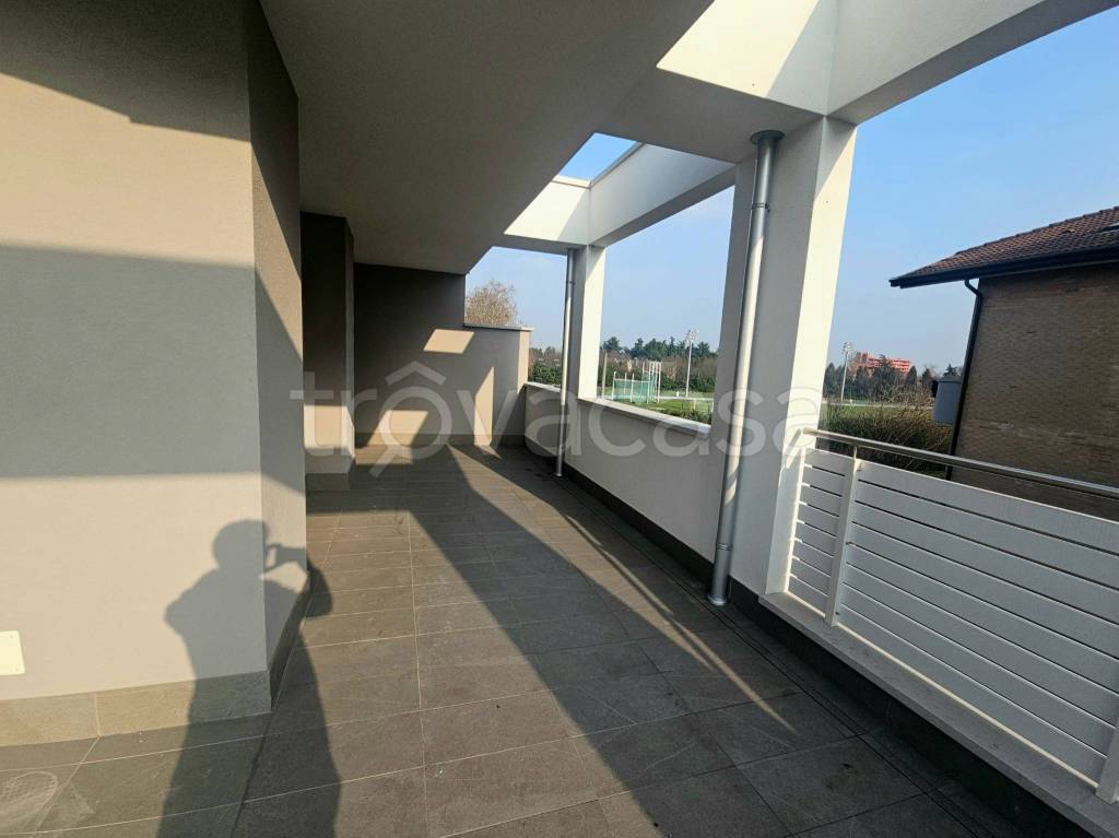 immagine annuncio 2 di 12