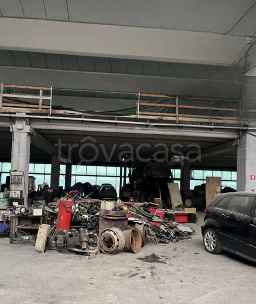 immagine annuncio 4 di 11