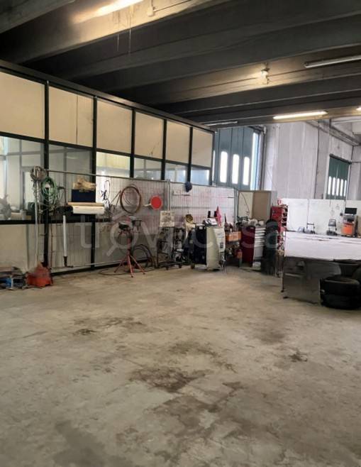 immagine annuncio 7 di 11