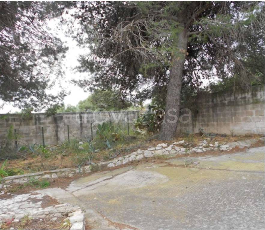 immagine annuncio 10 di 11