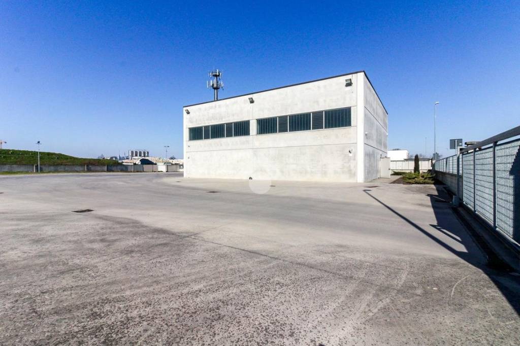 immagine annuncio 10 di 15