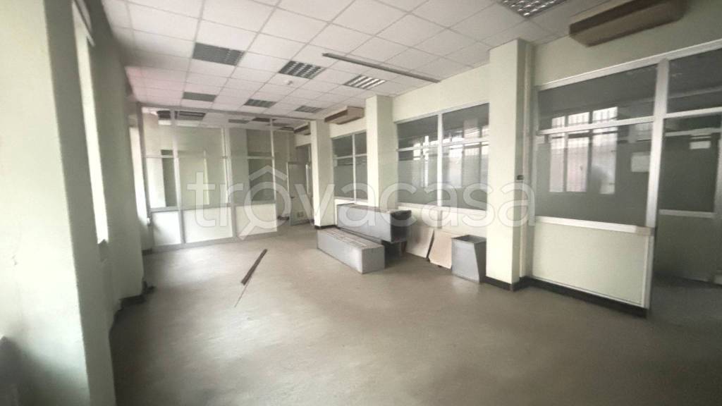 immagine annuncio 10 di 14