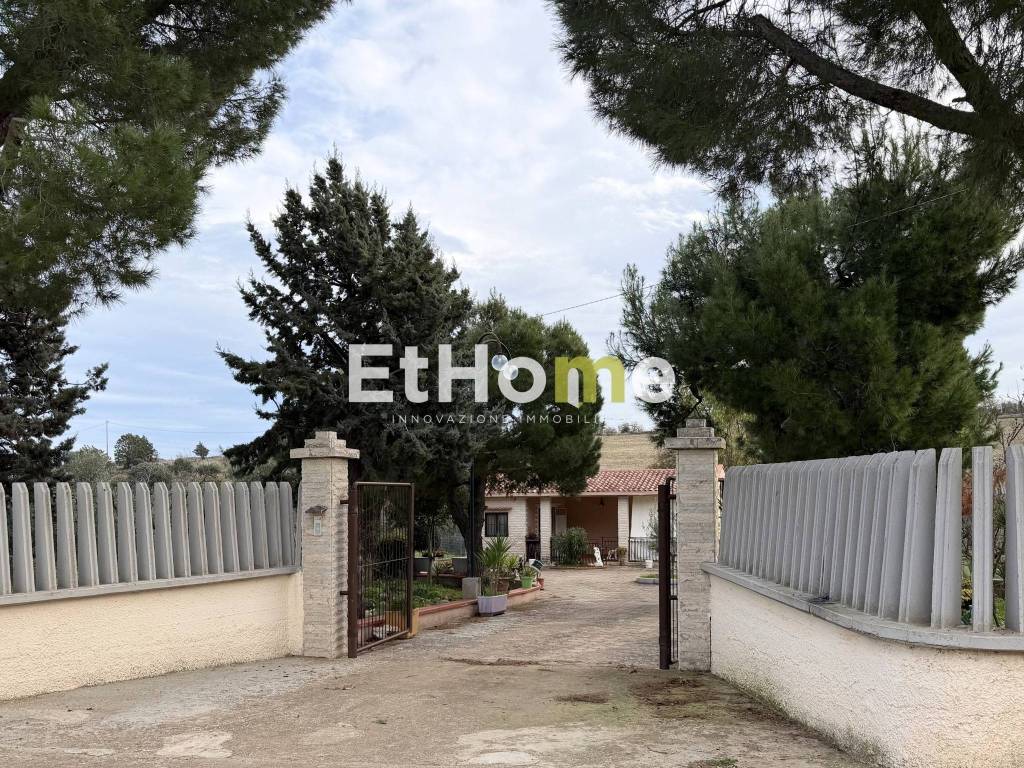 immagine annuncio 11 di 14