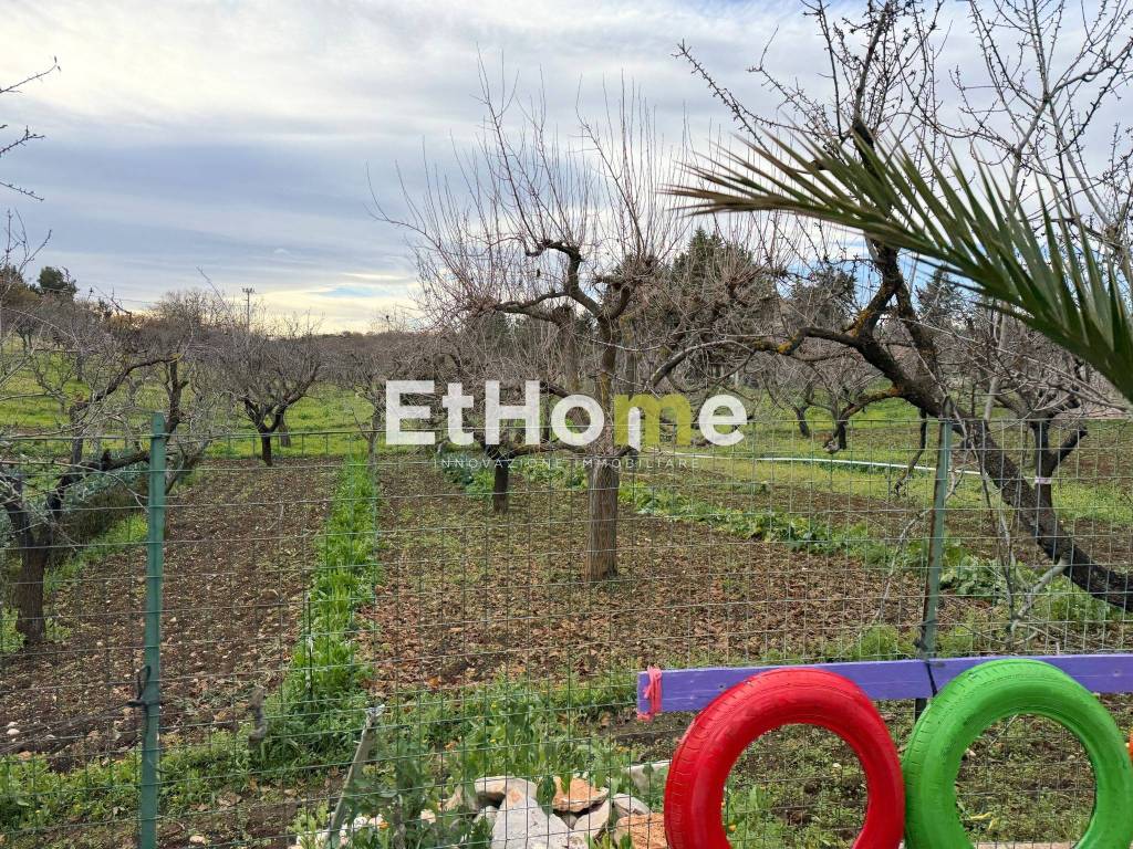 immagine annuncio 13 di 14