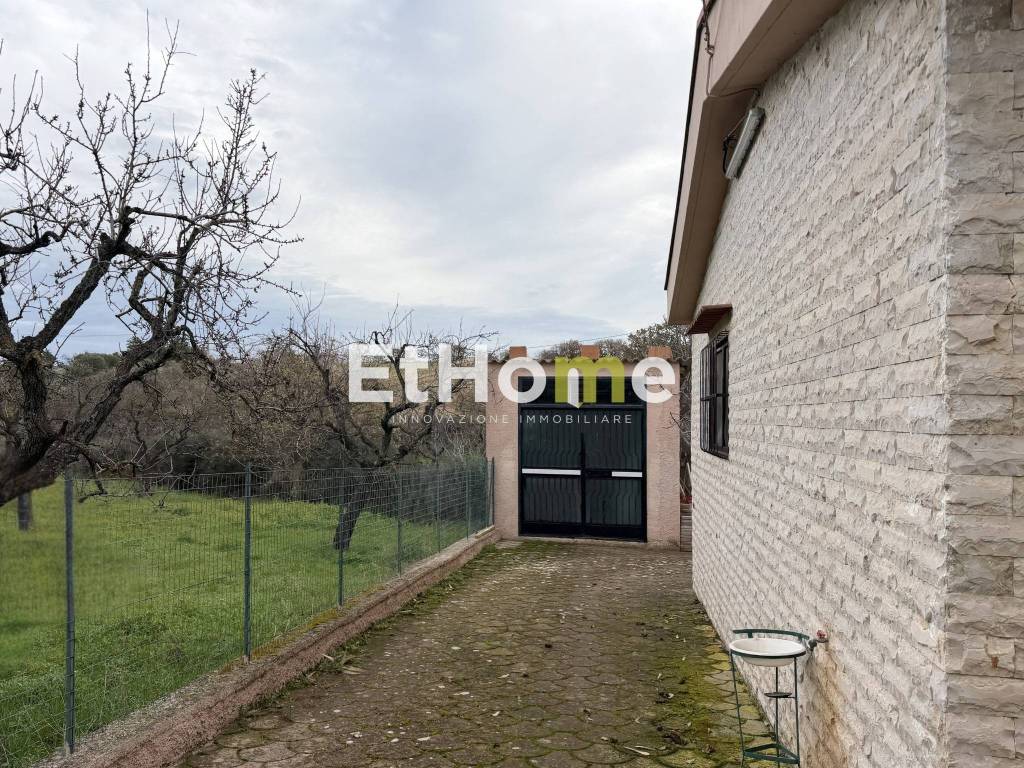 immagine annuncio 12 di 14