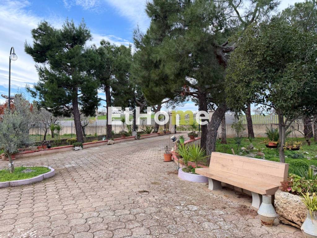 immagine annuncio 3 di 14