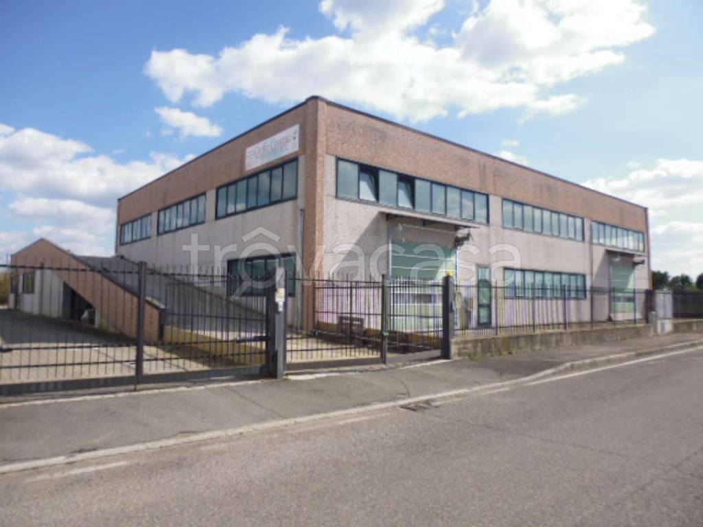 immagine annuncio 12 di 15