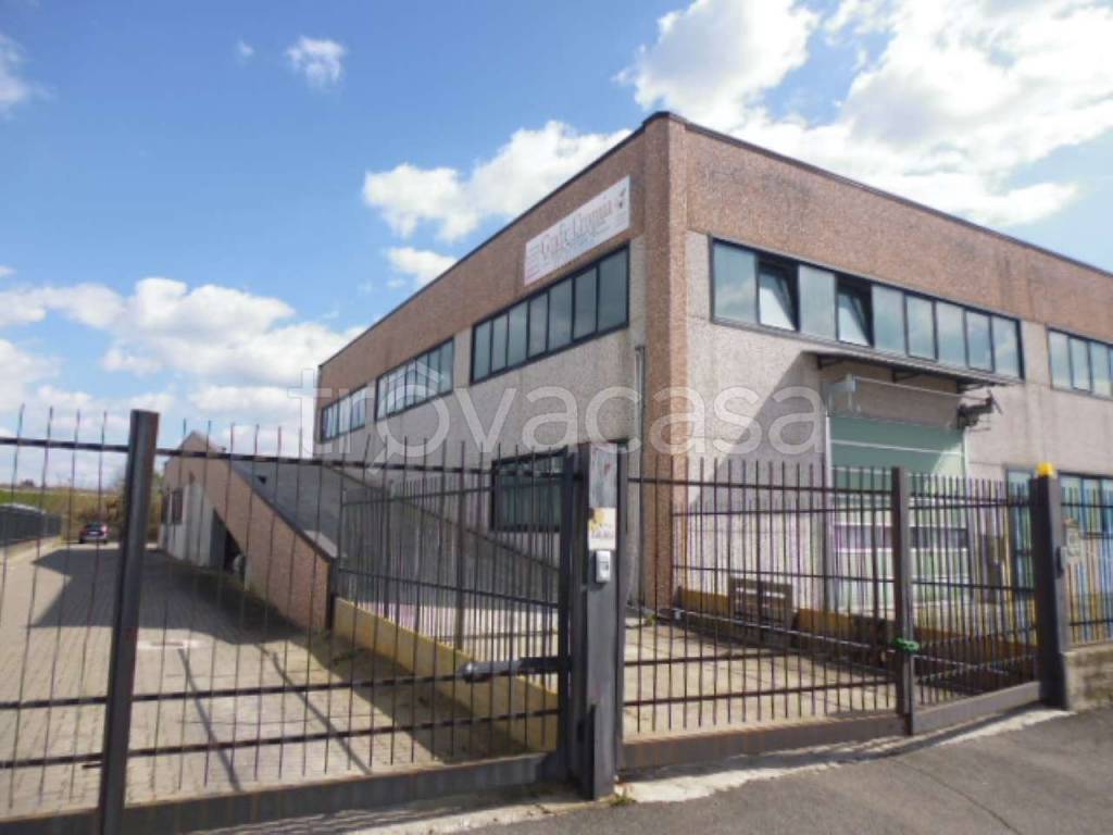 immagine annuncio 10 di 15