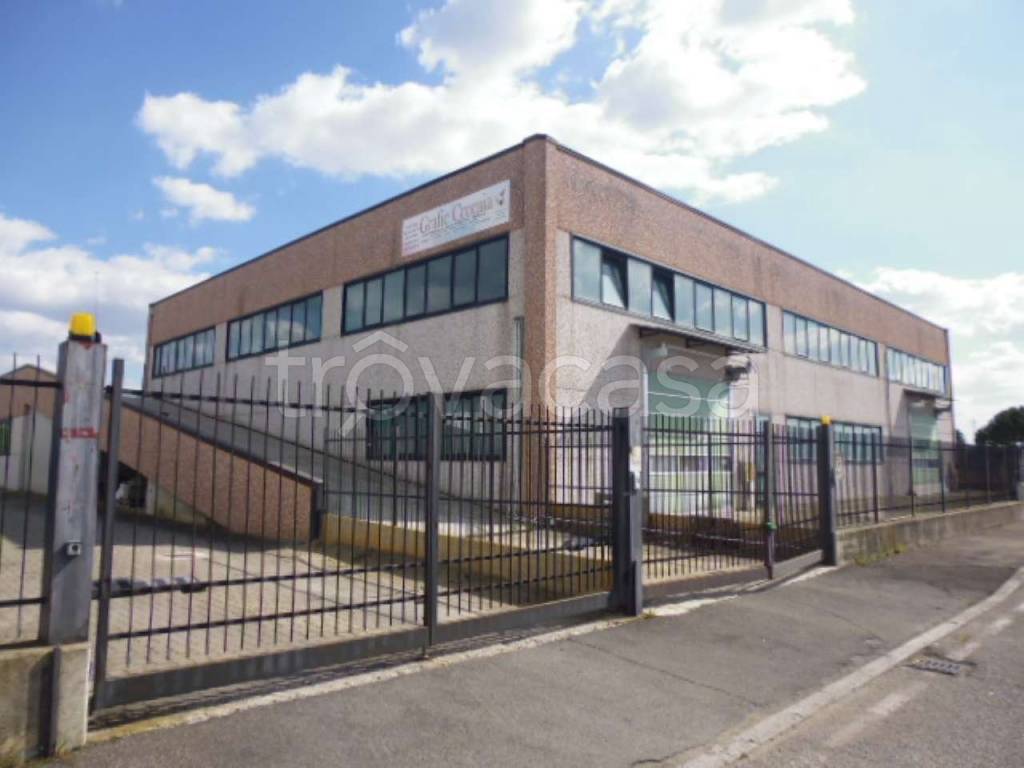 immagine annuncio 11 di 15