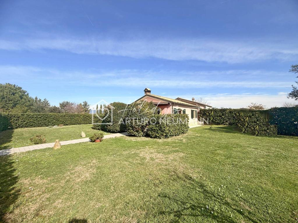 immagine annuncio 11 di 14