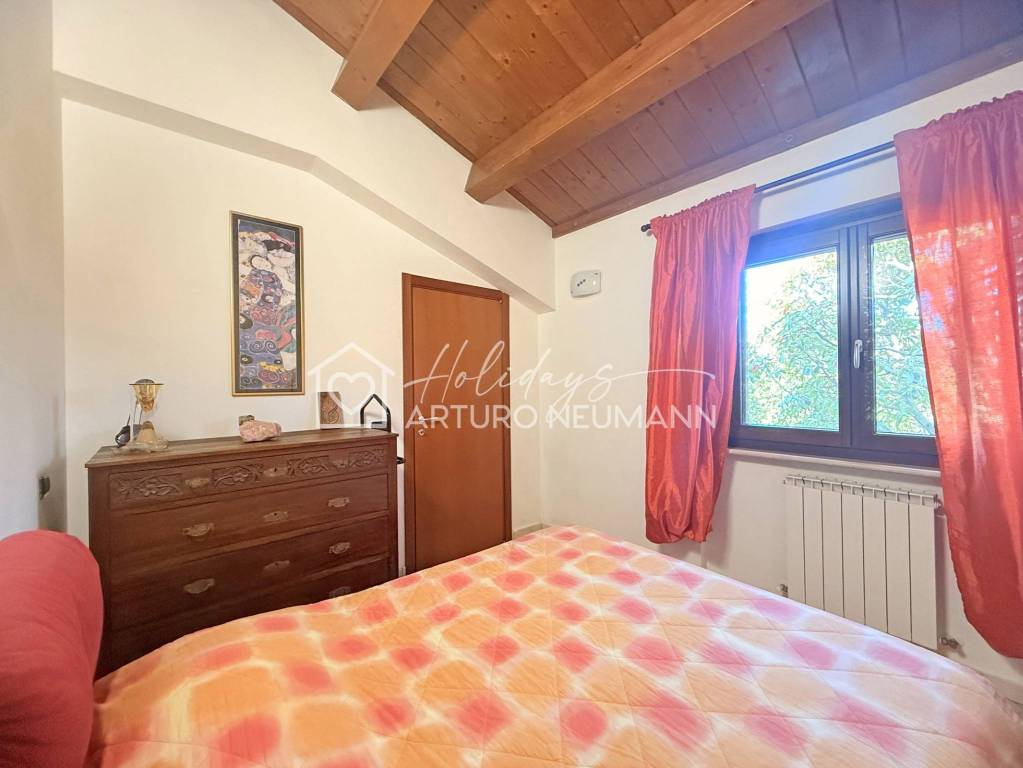 immagine annuncio 10 di 14