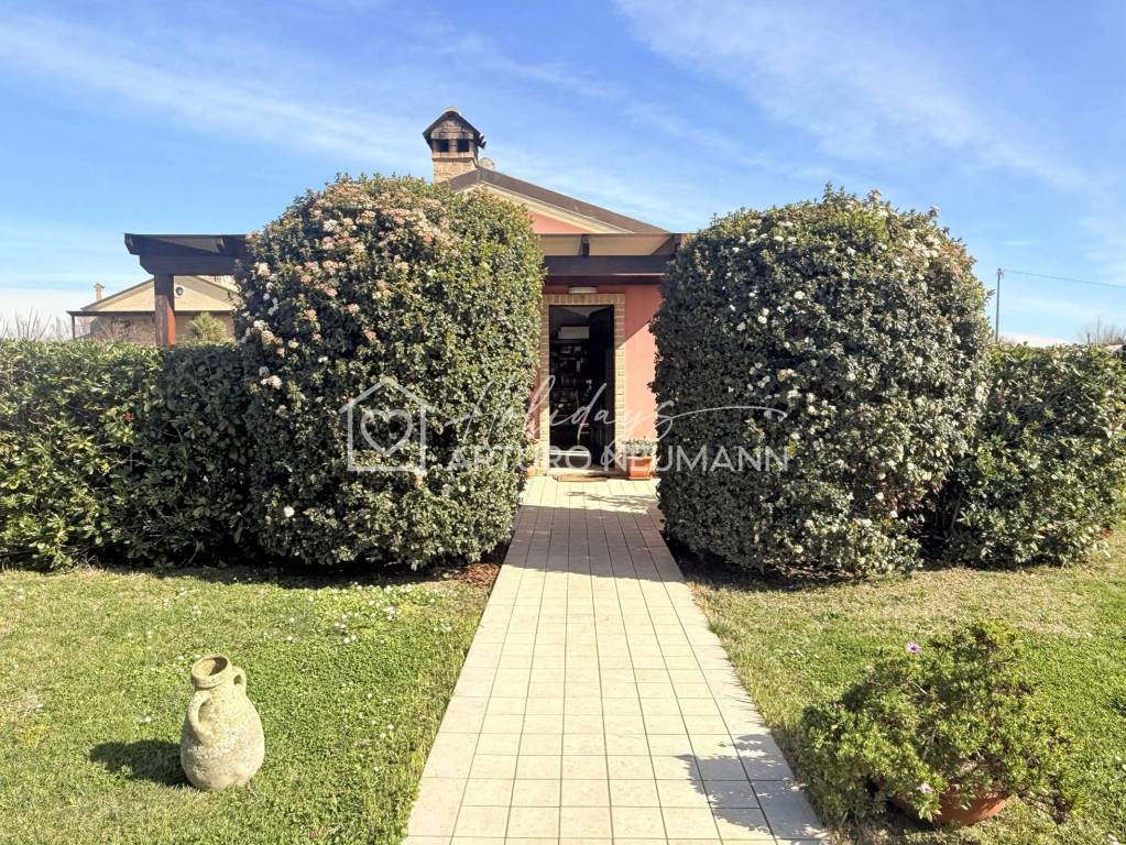 immagine annuncio 1 di 14