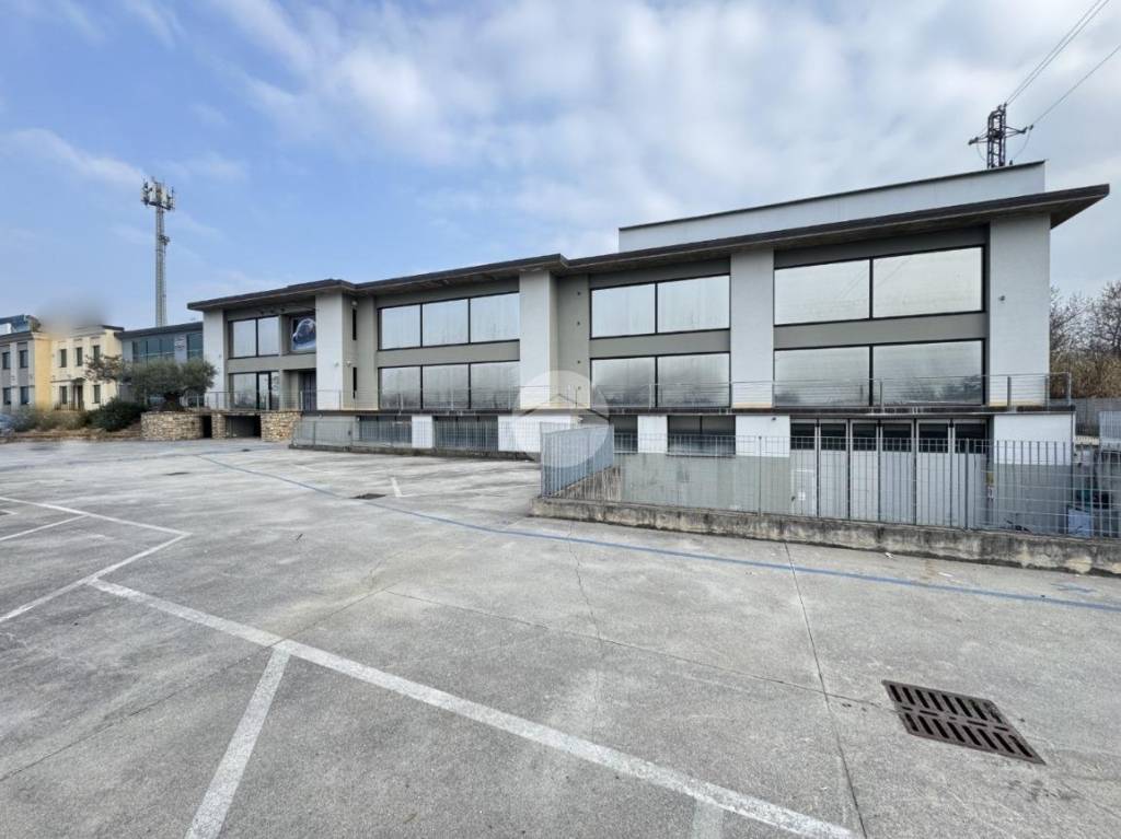 immagine annuncio 2 di 14