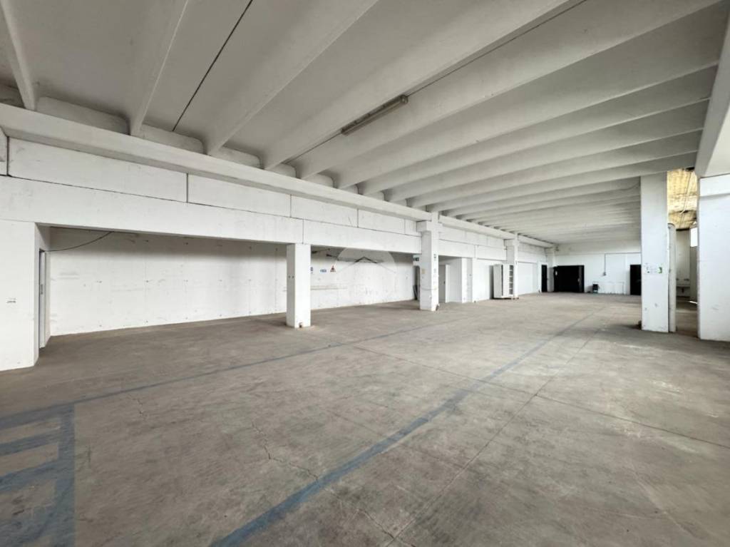 immagine annuncio 5 di 14