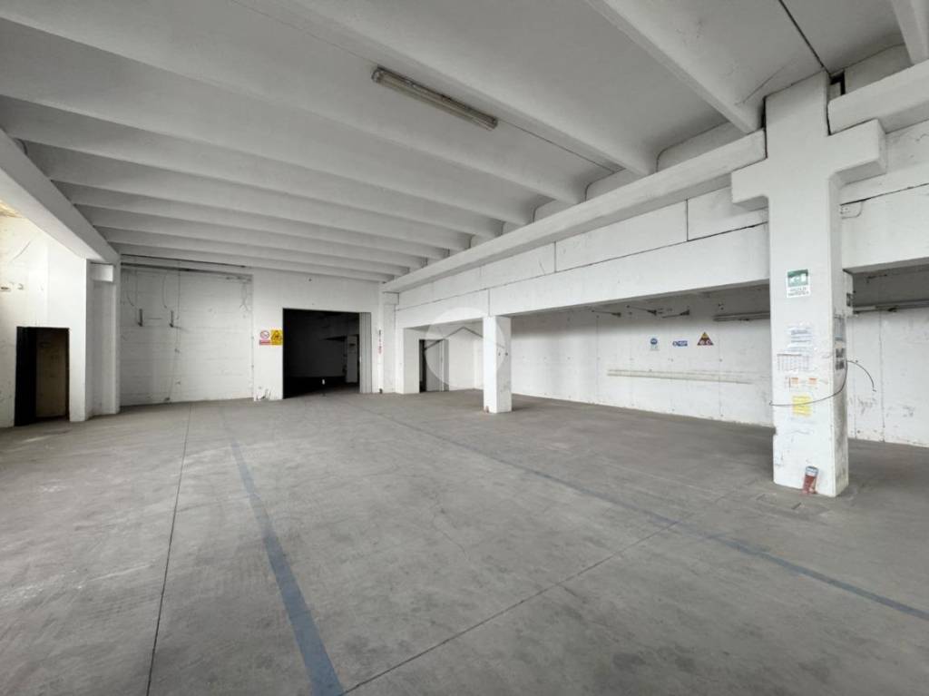 immagine annuncio 6 di 14