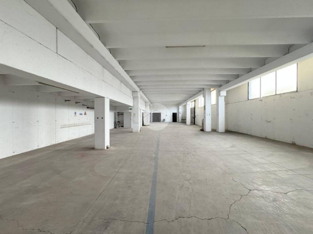 immagine annuncio 7 di 14